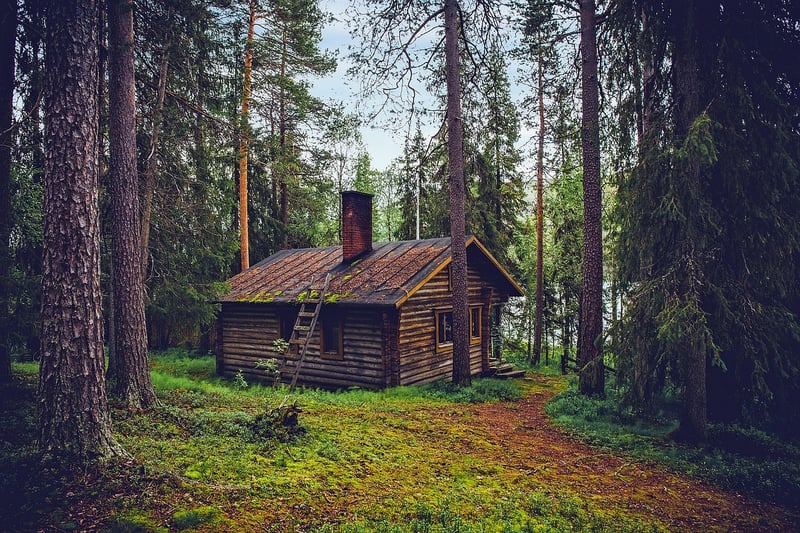 Secluded Forests